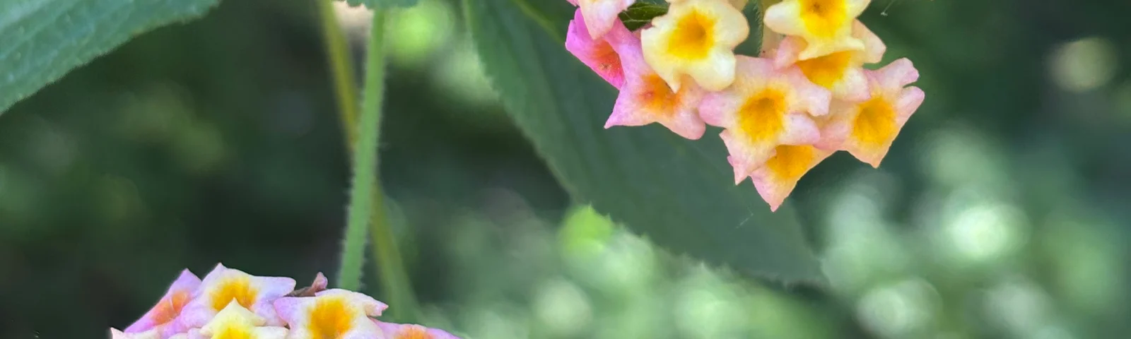 Featured tour by Tam Phan