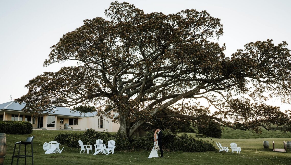 Southern Coast Wine & Scenic Experience - Gallery image 2