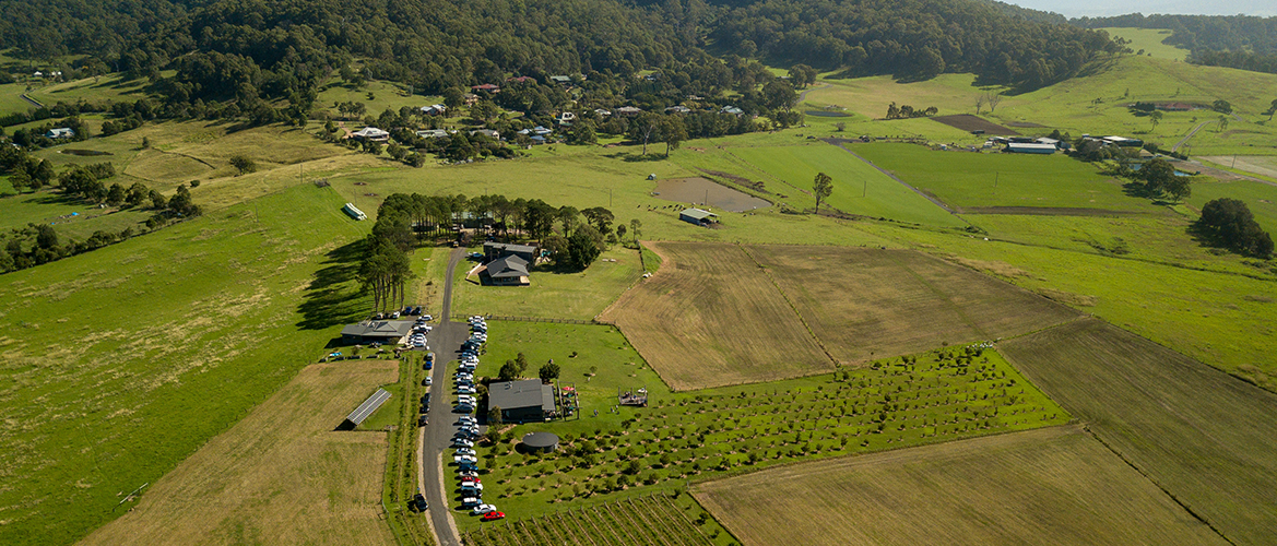 Shoalhaven Coast Winery Day Tour - Gallery image 7